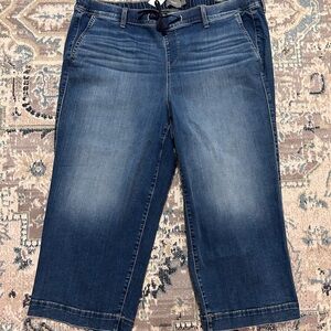 Torrid Cropped Wide Leg Denim Jeans 3X (22/24)